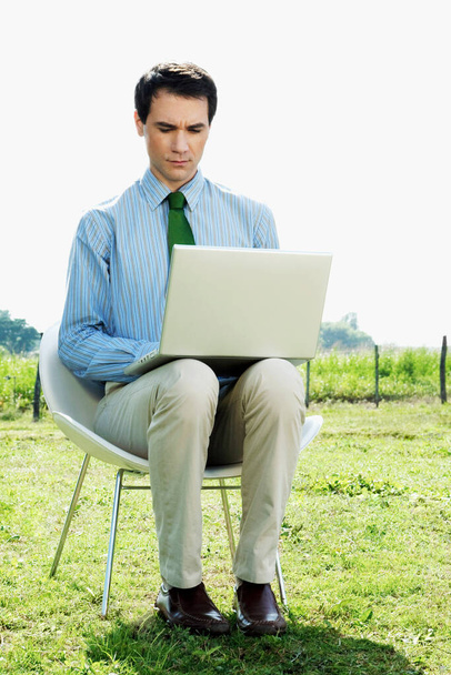 businessman sitting on grass and working on laptop - Zdjęcie, obraz