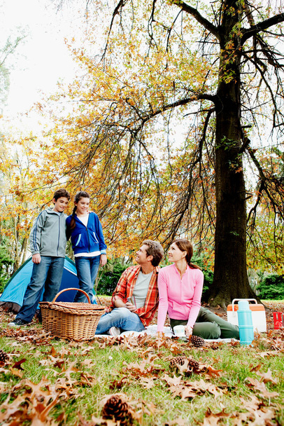 group of people having picnic in autumn park - Photo, image
