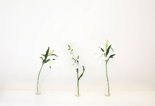 Prachtige natuurlijke lelies geplaatst in glazen vazen tegen witte muur in lichte kamer - Foto, afbeelding
