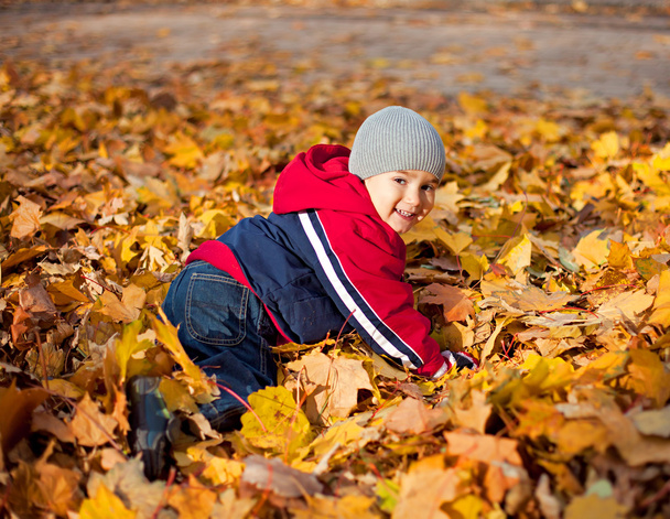 Niño jugado con hojas de otoño
 - Foto, Imagen