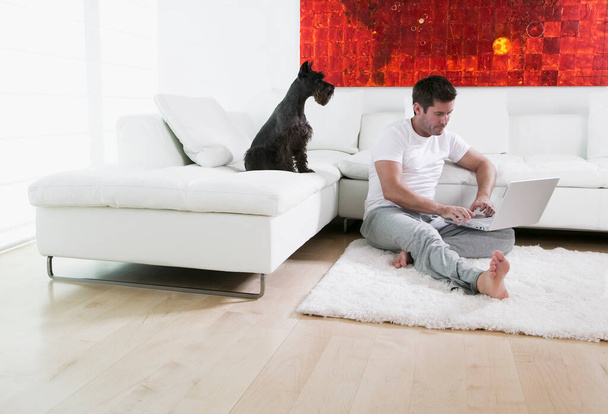 young man with laptop and cat sitting on sofa at home - Foto, Imagen