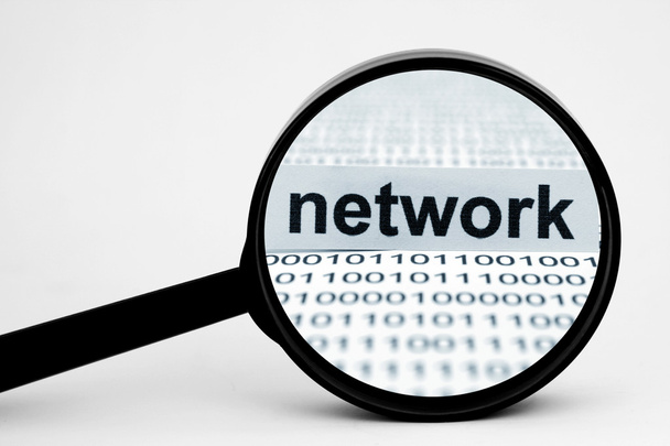 Search for network - Photo, Image