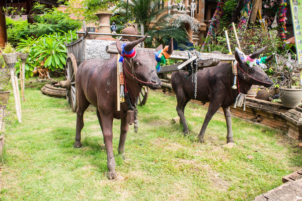 Sculpture de deux taureaux avec chariot
 - Photo, image