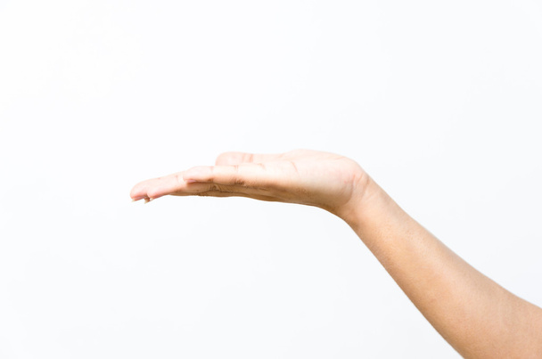 Lähikuva kauniin naisen kädestä, kämmen ylös. Eristetty valkoisella b
 - Valokuva, kuva