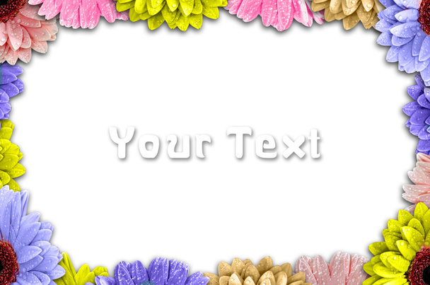 Frame made of colorful daisies isolated on White - Foto, imagen