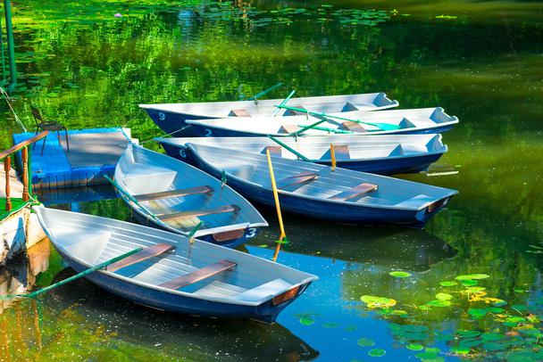 rowing boats in the pond in the early morning - Photo, Image