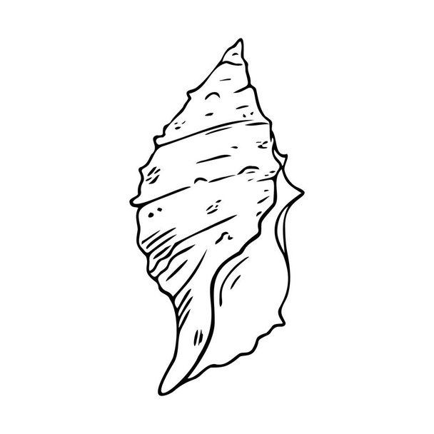 Concha de doodle, símbolo de mar desenhado à mão. Concha de fóssil pintada com tinta, caneta. Linha, minimalismo. Ícone esboçado simples. Isolado. Ilustração vetorial. - Vetor, Imagem