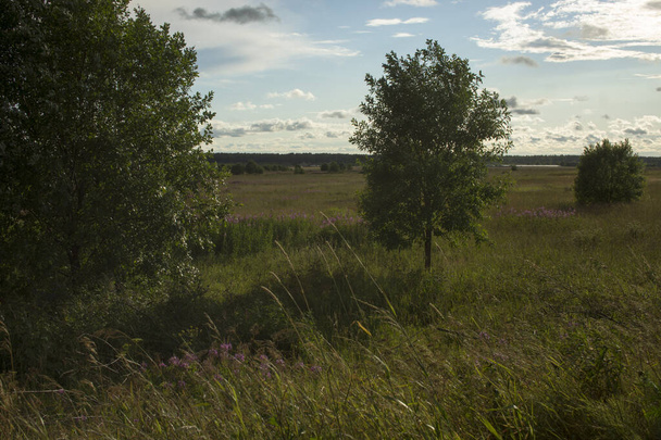 Paisagem rural de verão com uma aldeia russa. Floresta, campo gramado verde e pequenas casas de madeira em um prado sob um belo céu com nuvens - Foto, Imagem