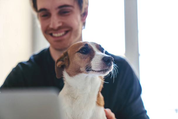 Nuori menestyvä liikemies työskennellessään kotona istuu keittiössä pöydässä, käyttää kannettavaa tietokonetta ja pitää hauskaa koiransa kanssa.. - Valokuva, kuva