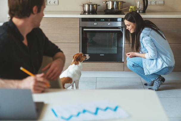 Fiatal házaspár, akik otthonról dolgoznak. Férj ül egy asztalnál a konyhában egy laptop, miközben a felesége főz a háttérben, és szórakozik egy kutya. - Fotó, kép