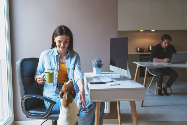 Jovem casal homem e mulher freelancers trabalhando usando computador e laptop sentado na cozinha em casa. A menina entretém o cão enquanto bebe chá ou café de uma xícara. - Foto, Imagem