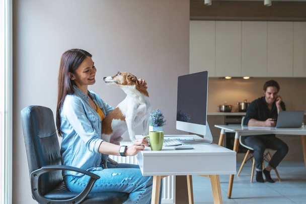 Νεαρό ζευγάρι ανδρών και γυναικών ελεύθεροι επαγγελματίες που εργάζονται χρησιμοποιώντας υπολογιστή και φορητό υπολογιστή κάθεται στην κουζίνα στο σπίτι. Το κορίτσι διασκεδάζει το σκύλο πίνοντας τσάι ή καφέ από ένα φλιτζάνι. - Φωτογραφία, εικόνα