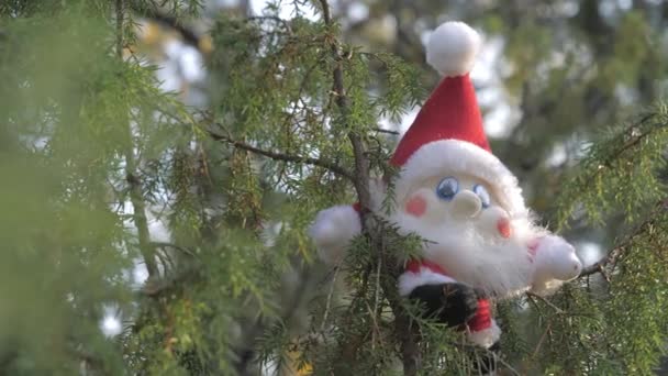 A view of the gnome on top of the pine tree in Rovaniemi Finland.4k - Footage, Video