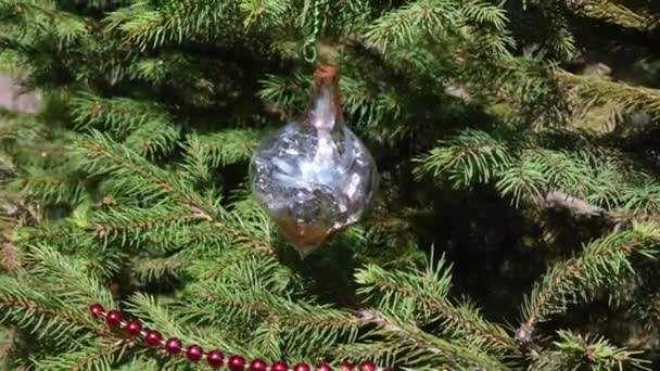 Ročník sklo cetka s lesklým stříbrným cínsel uvnitř visí na vánoční strom jedle větve - Záběry, video