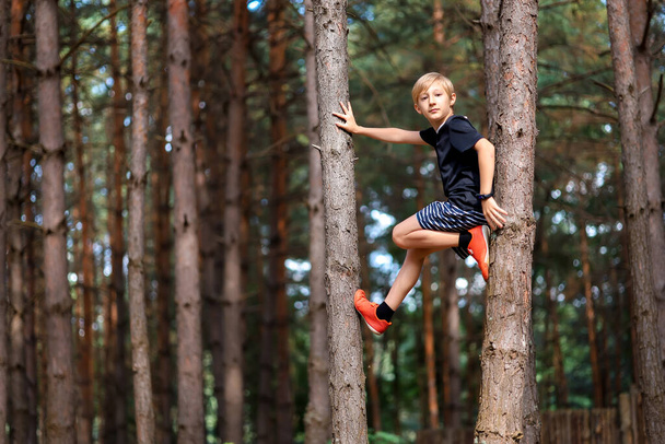 мальчик в сосновом лесу залез на дерево и смотрит в камеру - Фото, изображение
