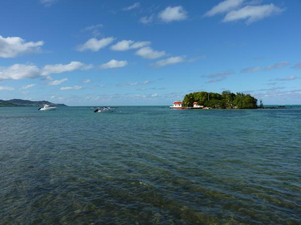 Червона хустина острівець
 - Фото, зображення