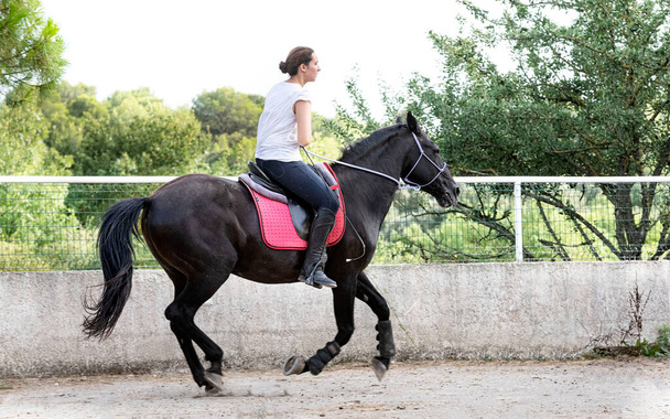  Верховая девчонка тренирует свою черную лошадь - Фото, изображение