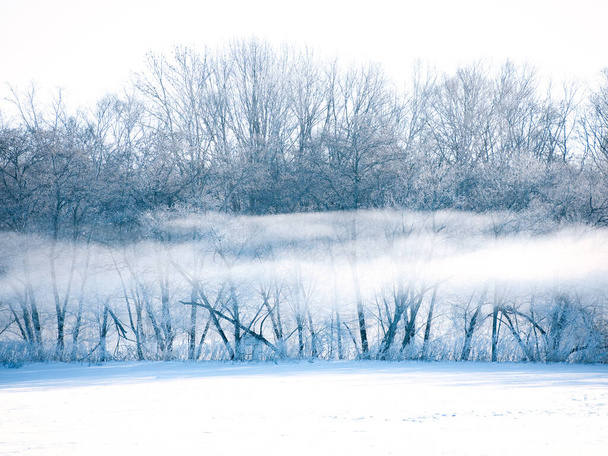 koude mist in de winterochtend - Foto, afbeelding