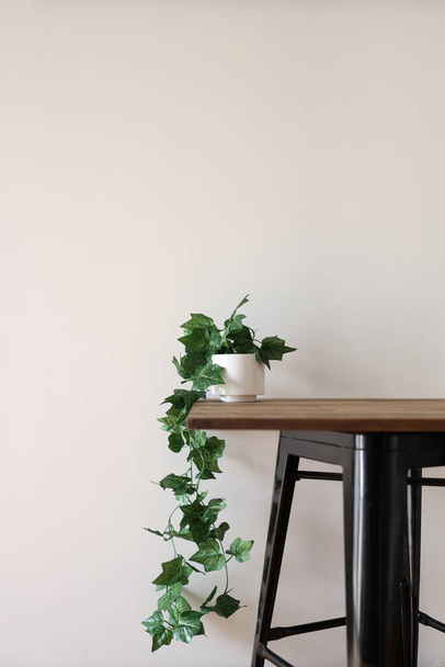 A studio photo of an artificial indoor Ivy vine - Fotoğraf, Görsel