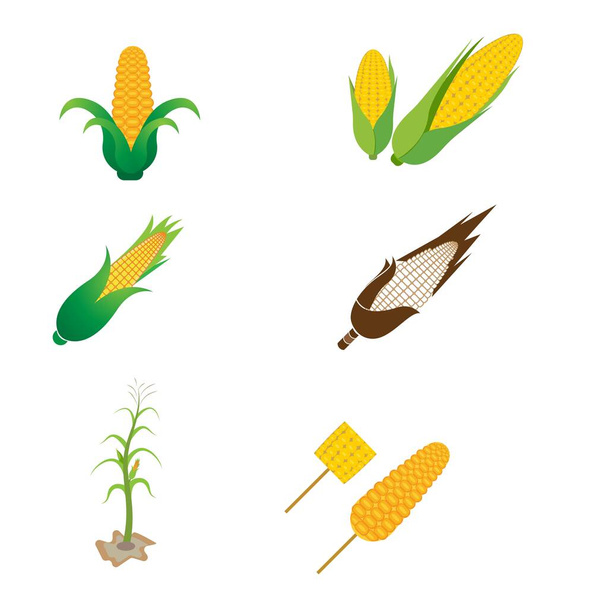 Šablona návrhu ikon vektoru zemědělství - Vektor, obrázek