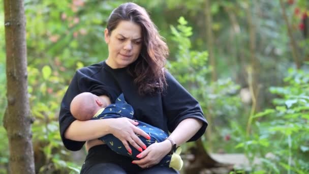 Mladý roztomilý maminka krmení dítě prsa mléko v lese - Záběry, video
