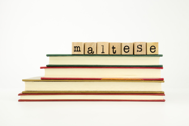 lingua maltese parola su francobolli e libri di legno
 - Foto, immagini