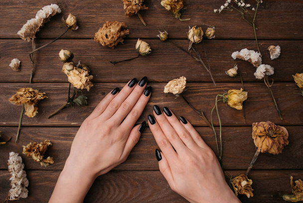 Woman hands with black manicure among dry plants. - Photo, image