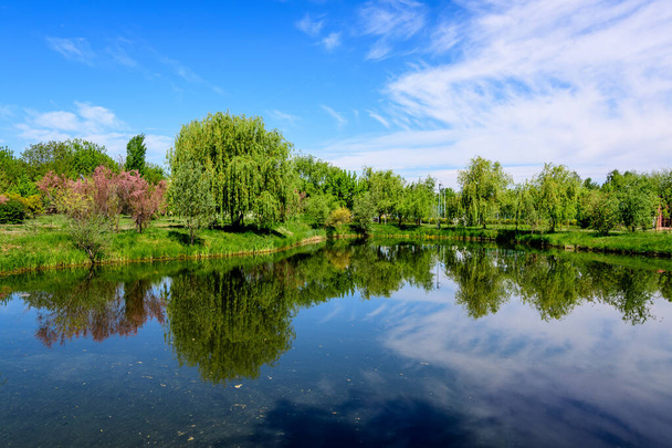 Landschap met oude groene bomen in de buurt van Mogosoaia meer en park, een weekend attractie in de buurt van Boekarest, Roemenië, in een zonnige lentedag - Foto, afbeelding