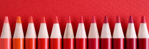 Closeup of many shades of red wooden pencils - Photo, Image