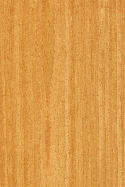 Oak (wood texture) - Photo, Image