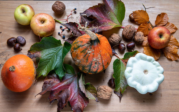 Őszi téma: zöldségek és őszi színek - Fotó, kép