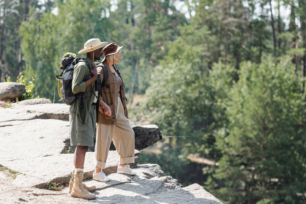 Вид сбоку на многоэтнических туристов, держащихся за руки на скале в лесу  - Фото, изображение