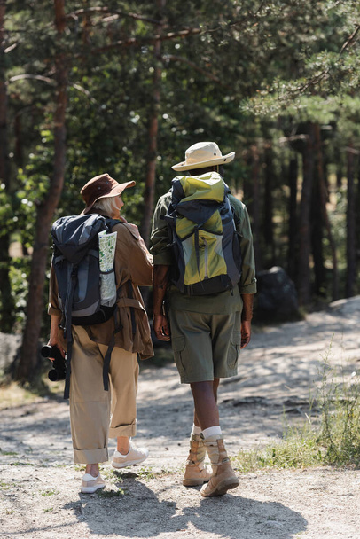 Międzyrasowi starsi turyści z plecakami spacerującymi po lesie  - Zdjęcie, obraz