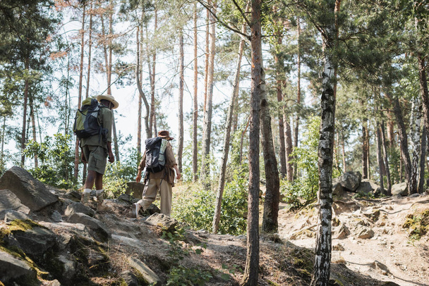 Senior travelers with backpacks walking on stones in forest  - Foto, imagen