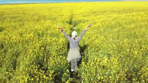 вид ззаду азіатської жінки, що стоїть в полі квітів каноли
 - Кадри, відео