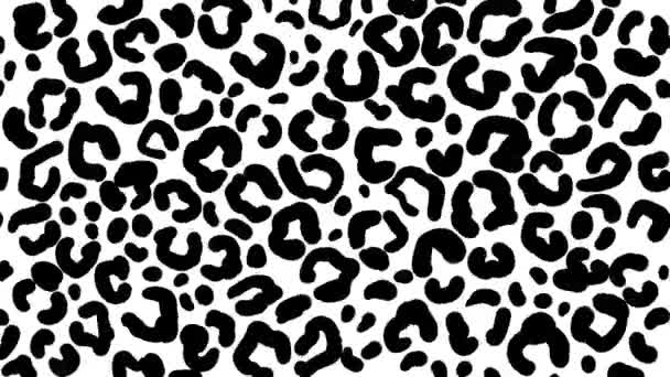 Cartoon frame voor frame looping textuur van een luipaard in zwart-wit - Video