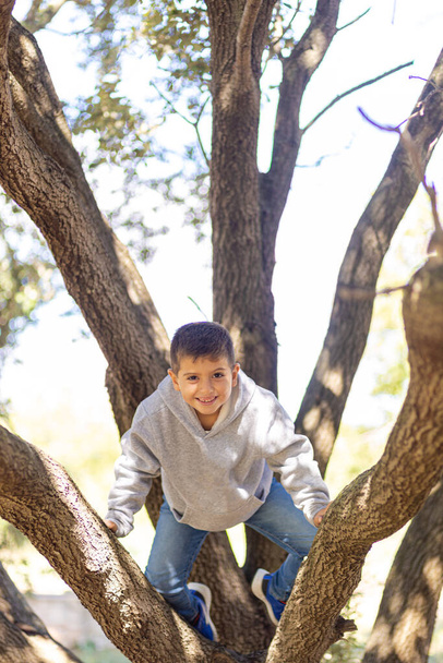 Смішний хлопчик піднімається на велике дерево
 - Фото, зображення