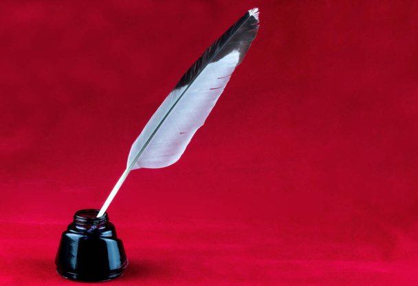 Pero peří stojící v lahvičce s inkoustem izolované na červeném pozadí - Fotografie, Obrázek