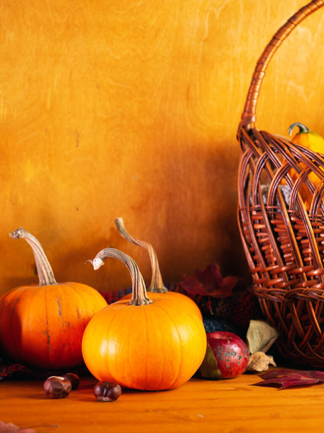 Cosecha de calabazas de otoño en una mesa de madera con espacio para copiar - Foto, Imagen