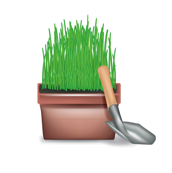 pot avec herbe en croissance et haut-fond isolé
 - Vecteur, image