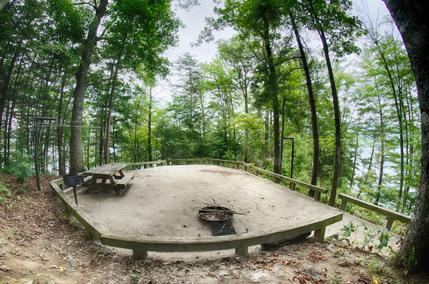 Heavily wooded camp site ready for campers - Photo, Image