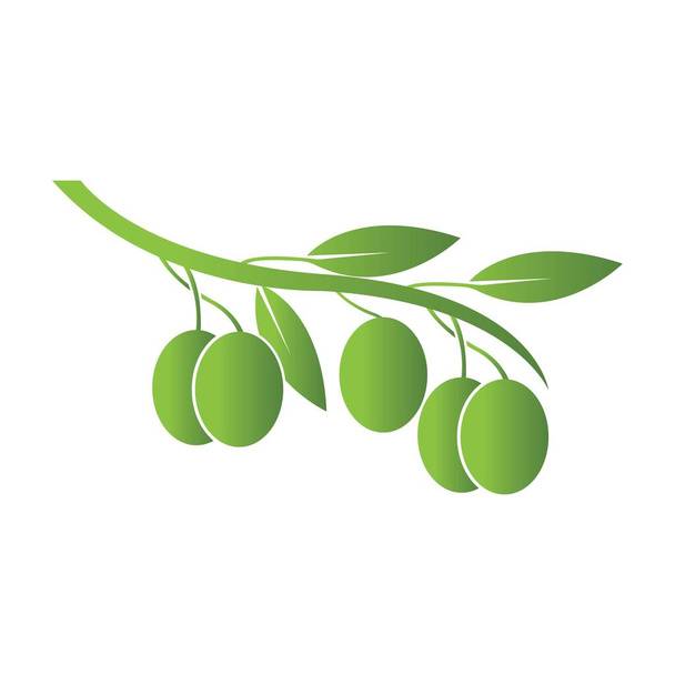 Olive logó sablon vektor ikon illusztráció tervezés - Vektor, kép