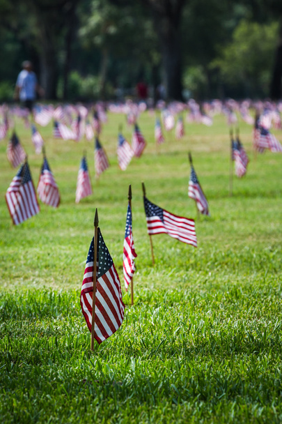 Nós bandeiras em um cemitério de veteranos no dia dos veteranos
  - Foto, Imagem