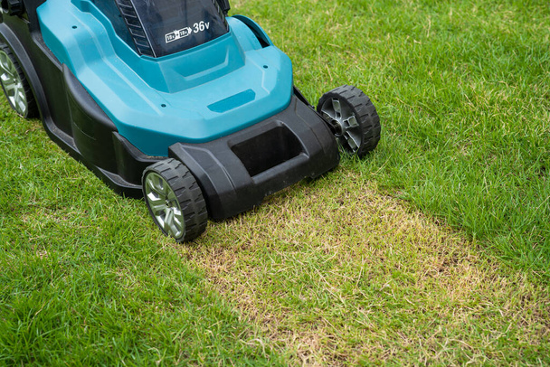 Lawn mover machine cut green grass, Hobby planting home garden. - Photo, Image
