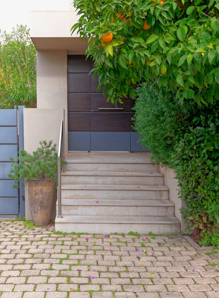 Koyu kahverengi kapılı, çiçek saksısı ve portakal ağacı olan modern bir evin girişi. - Fotoğraf, Görsel