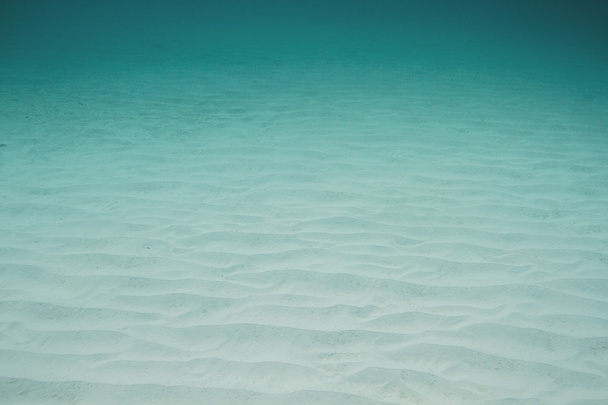 Oceaan bodem - Foto, afbeelding