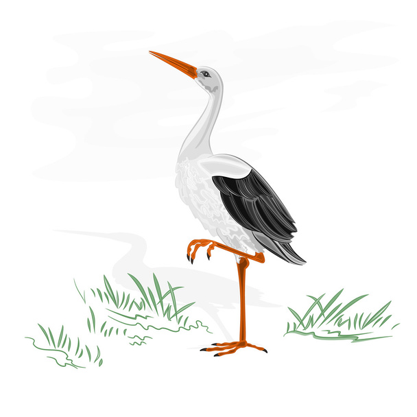 Векторний птах з водоростями
 - Вектор, зображення