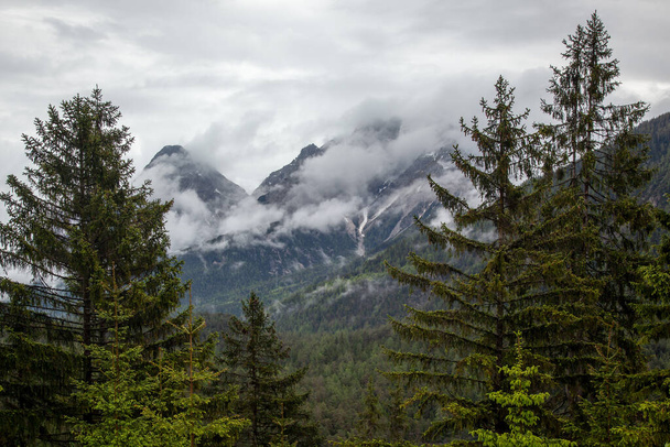 The cloudy sky over the high mountains with coniferous forests, meadows and peaks - Fotografie, Obrázek