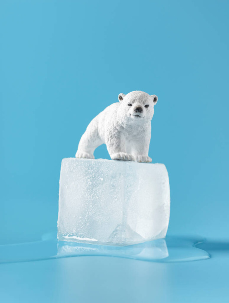 青い背景に隔離された氷の立方体に赤ちゃんのホッキョクグマ。水の水たまりの中に横たわる氷のキューブ、気候変動の概念. - 写真・画像