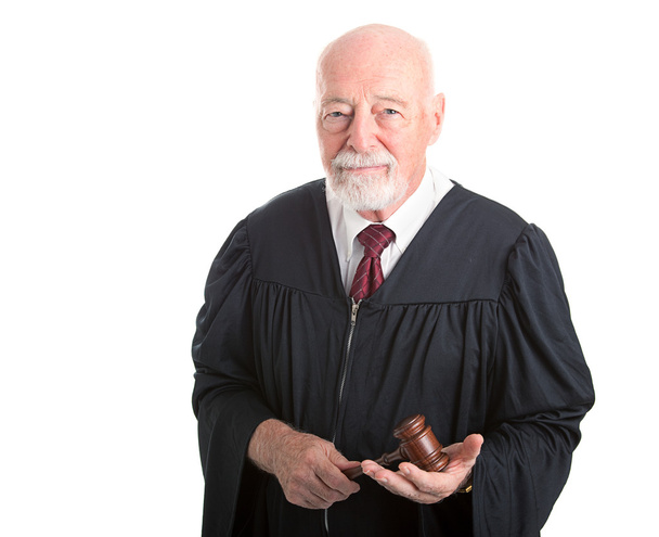 Judge with Dignity - Фото, зображення